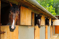 free Paulton stable construction quotes
